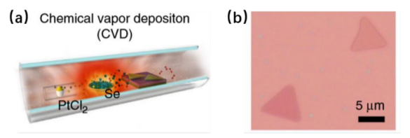 (a)化学气相沉积的方法制备 PtSe₂ 的示意图(b)制备得到的 PtSe₂薄膜的光学显微图