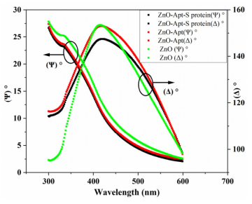 光谱椭偏仪测量的椭偏参数 ψ(λ) 和 ∆(λ)。裸 ZnO 薄膜（黑色曲线）、 Aptamer 功能化层在 ZnO 表面（红色曲线）以及固定在 ZnO 表面的 Spike 蛋白质层（绿色曲线）