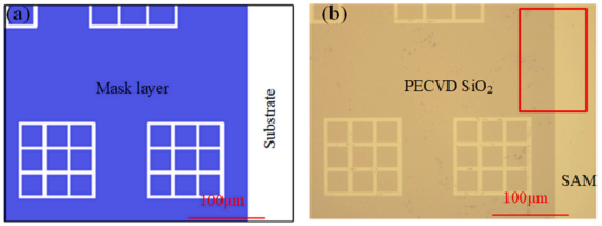 (a) 掩模图案；(b) DIC图像（亮区：SAM，暗区：SiO₂），红框为测量区域