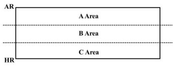 LDA 芯片 N 面测量区域划分