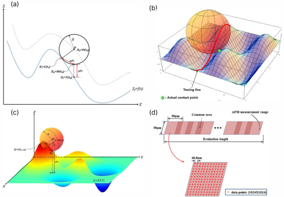 （a）台阶仪的二维表面轮廓测量模型；（b）台阶仪的三维表面轮廓测量模型；（c）球形针尖触针在真实表面上的示意图 ；（d）AFM数据轮廓拼接示意图