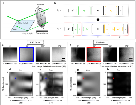 a. 相对透射率（RT）示意图；b. 矩阵重构示意图；c. 波长为 405nm 时，PSG 旋转角度分别为 0°、90°、180° 和 270° 条件下得到的PSG因子；、e. 全波长与全偏振条件下PSG 因子的均值（μ）和标准差（σ）；f. 在与图 c 相同的波长和偏振条件下得到的 PSA 因子；g、h. 全波长与全偏振条件下PSA因子的均值（μ）和标准差（σ）