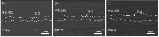 MAO膜层横截面SEM形貌：(a) 2 A/dm²; (b) 4 A/dm²; (c) 6 A/dm²