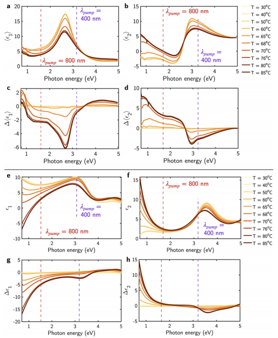 VO₂薄膜的（a）实部和（b）虚部伪介电函数〈ε₁〉和〈ε₂〉随温度的变化。（c）实部和（d）虚部伪介电函数的变化量Δ〈ε₁〉和Δ〈ε₂〉，以室温下的〈ε〉为参考。（e）VO₂薄膜介电函数的实部ε₁和（f）虚部ε₂。（g）实部和（h）虚部介电函数的变化量Δε₁和Δε₂，以室温下的ε为参考。