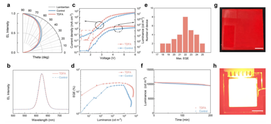 CQW基LED的器件性能: a器件电致发光的角分布（朗伯分布）。b归一化电致发光光谱。c电流密度-电压-亮度特性曲线。d外量子效率随亮度的变化曲线。e 30个独立器件的效率分布直方图。f器件在恒定电流下的亮度衰减曲线及寿命推算。g 通过TDFA法制备的10×10 cm²大面积均匀CQW薄膜在紫外灯下的照片（比例尺：2 cm）。h TDFA法制备的2×2 cm²大面积LED器件在高亮度工作下的照片（比例尺：1 cm）