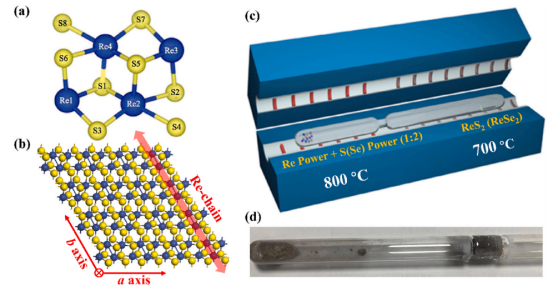 （a）ReS₂单胞结构示意图（b）ReS₂晶体结构俯视图（c）CVT法生长ReS₂与ReSe₂单晶示意图（d）所使用的石英管及所得ReSe₂单晶照片