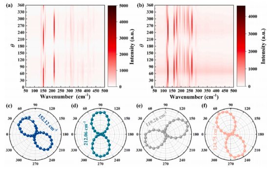 （a）ReS₂拉曼强度随半波片旋转角度的分布（b）ReSe₂拉曼强度随半波片旋转角度的分布（c）–（f）两个Eg模式的偏振依赖性
