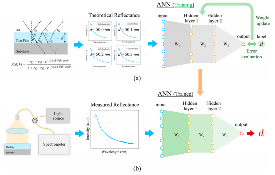 基于人工神经网络算法的薄膜厚度分析流程示意图(a) 训练阶段(b) 训练完成的网络预测阶段