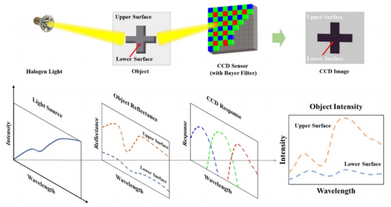 图像对比度的形成示意图