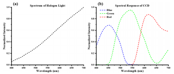 （a）可见光波段卤素光源的归一化光谱（b）可见光波段Basler彩色CCD的归一化光谱响应