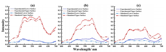 不同阶高多层膜阶高标准的光谱测量结果：（a）20 nm；（b）100 nm；（c）500 nm
