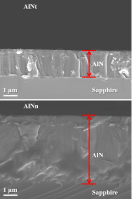AlNt和AlNn薄膜样品横截面的SEM形貌图