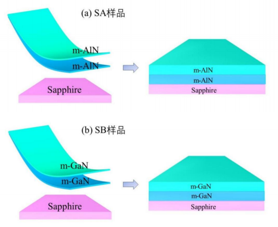 （a）m-AlN和（b）m-GaN样品结构示意图