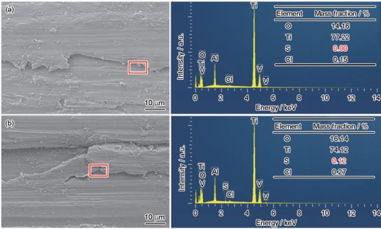 TC4钛合金在含有不同浓度S2-的3.5%NaCl溶液中摩擦后的腐蚀磨损表面形貌