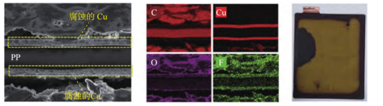 完全放电后PP基复合铜集流体的结构形貌表征