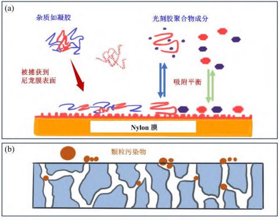 膜过滤法去除颗粒污染物机制(a)尼龙膜吸附示意图(b)颗粒筛分示意图