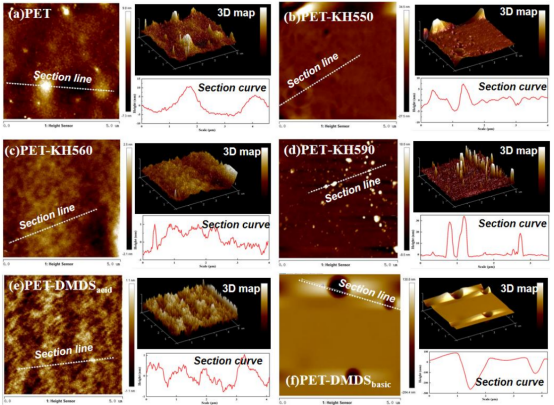 PET及聚硅氧烷改性PET的表面AFM图