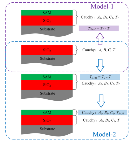 改进型柯西模型拟合方法（Model-2）测量SAM高度和折射率原理图