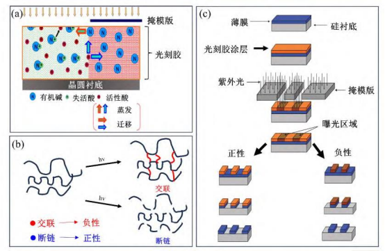 光刻工艺与光刻胶反应机制：(a)光刻胶酸催化反应机制；(b)正负性光刻胶光化学反应分子结构对比；(c)光刻工艺示意图
