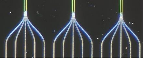  LNOI 复杂波导局部分叉处图像