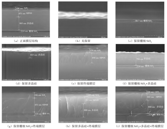 正面膜层结构和不同背面膜层组合结构的SEM图